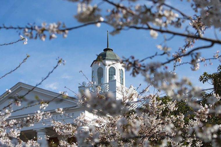 Washington College in the springtime with cherry blossoms blooming. 