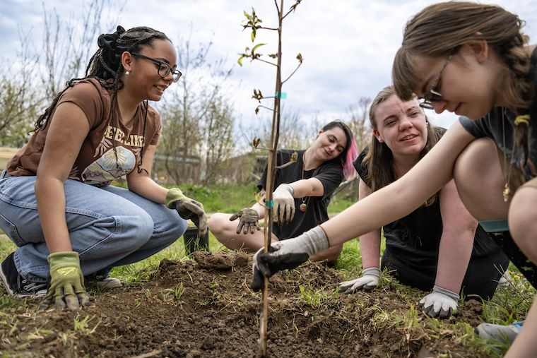 Students plant a tree in the Campus Garden's poetry garden