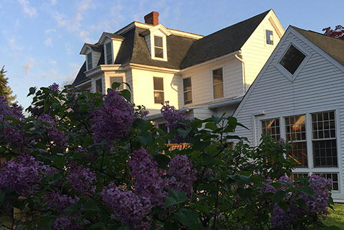 Lilac bush in foreground, Literary House in background