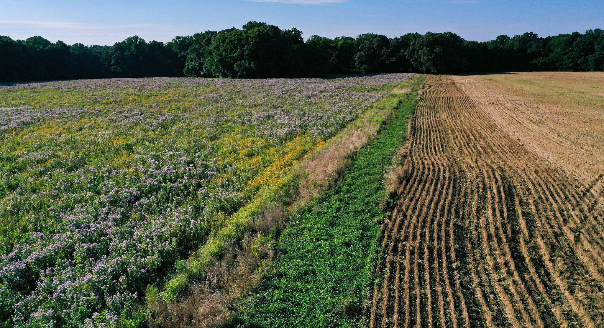 Natural Lands Project