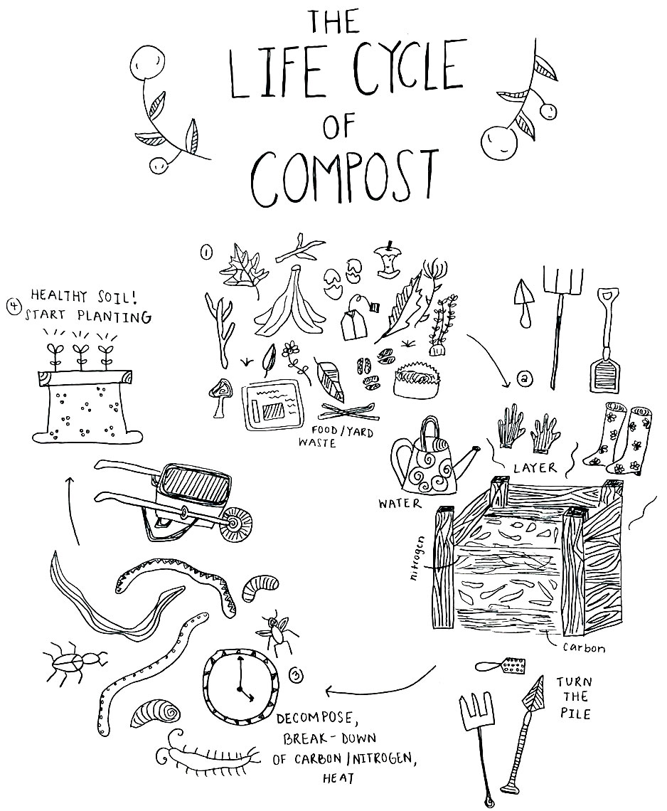 Life Cycle of Compost