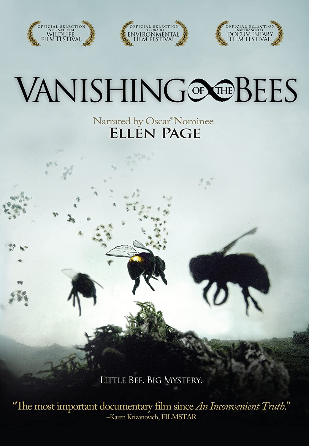 Vanishing of the Bees