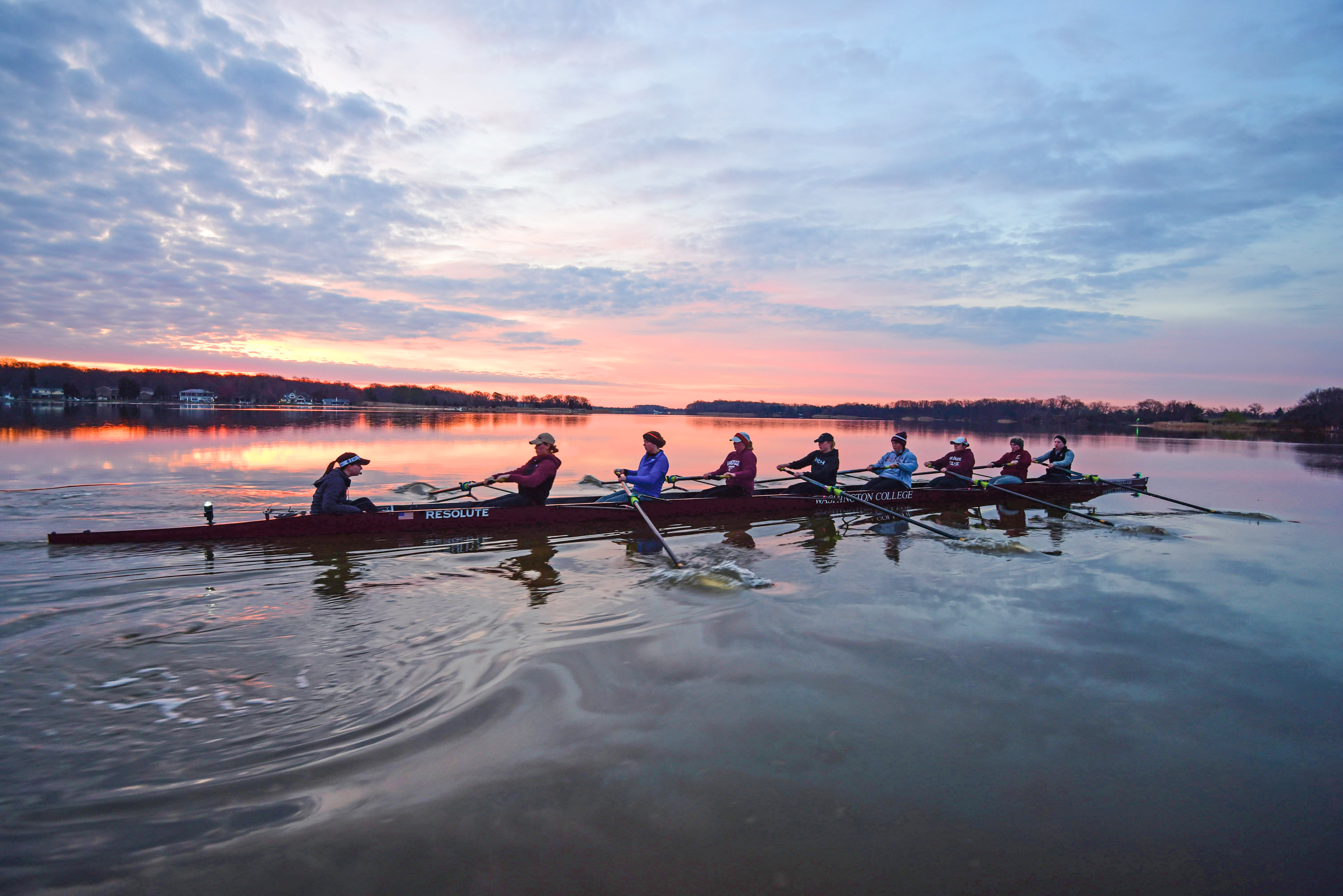 Washington College rowers on the water in front of a pink sunrise 