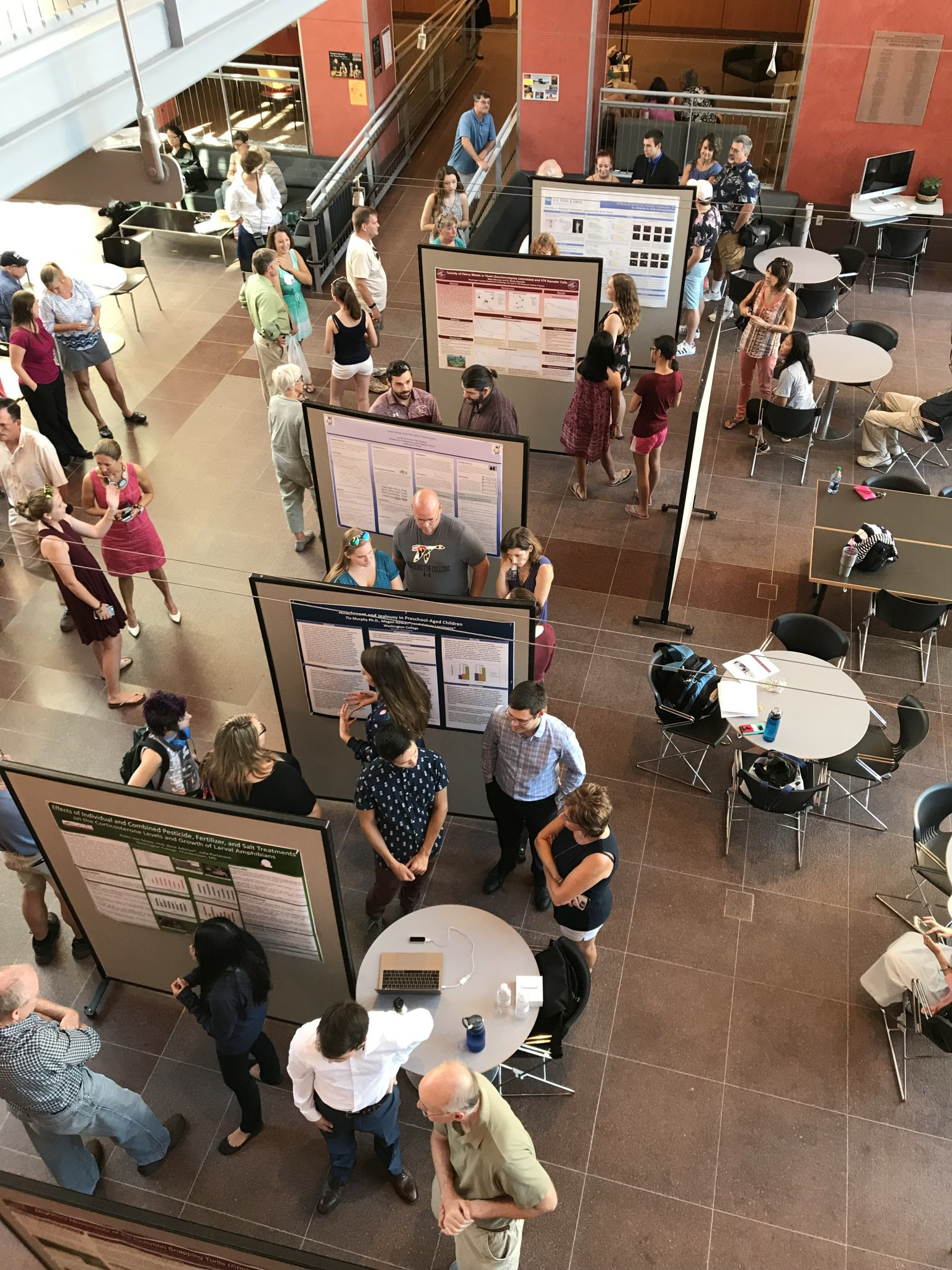 Overhead shot of poster presentation