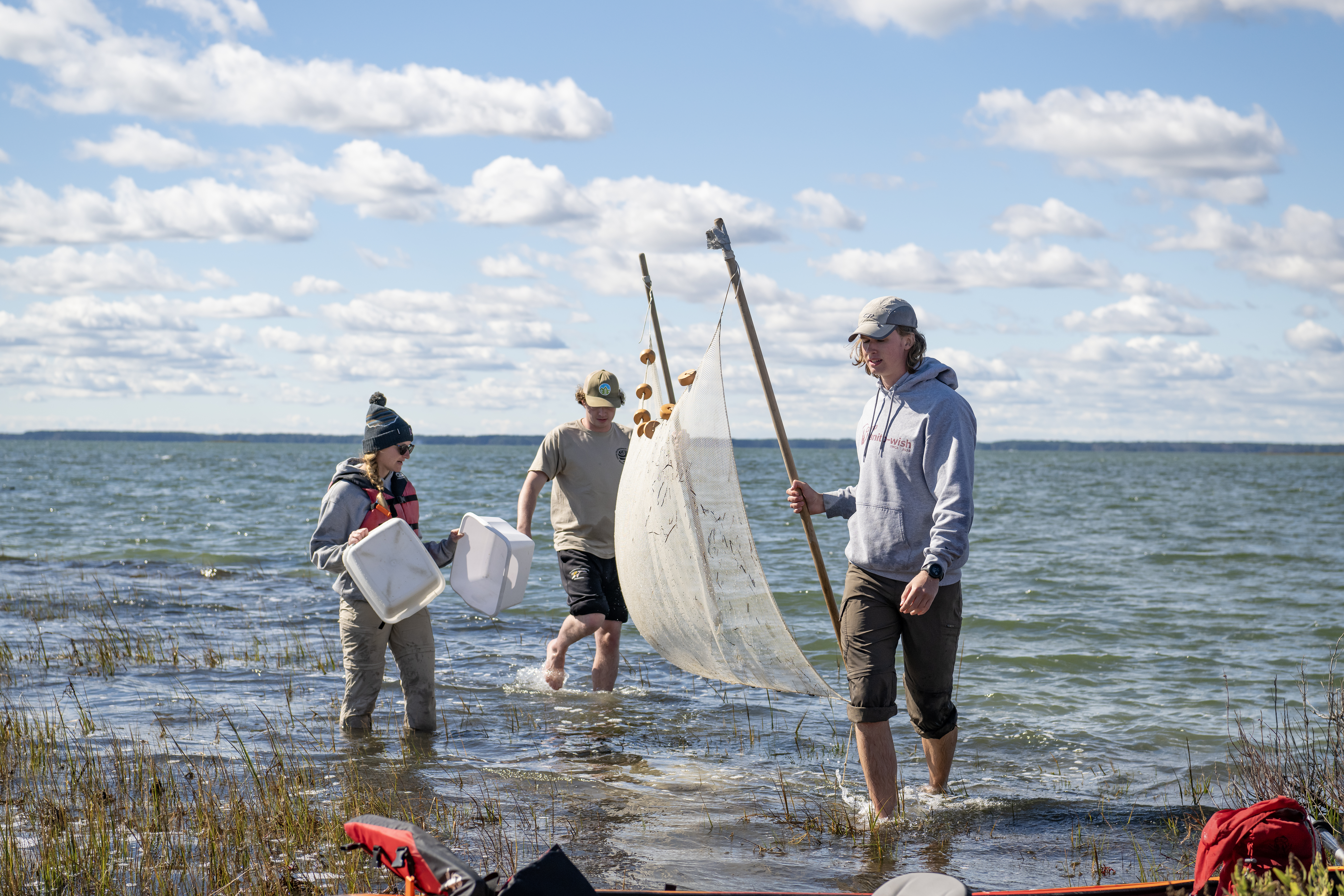 Washington College students with a seine net in a river collecting data