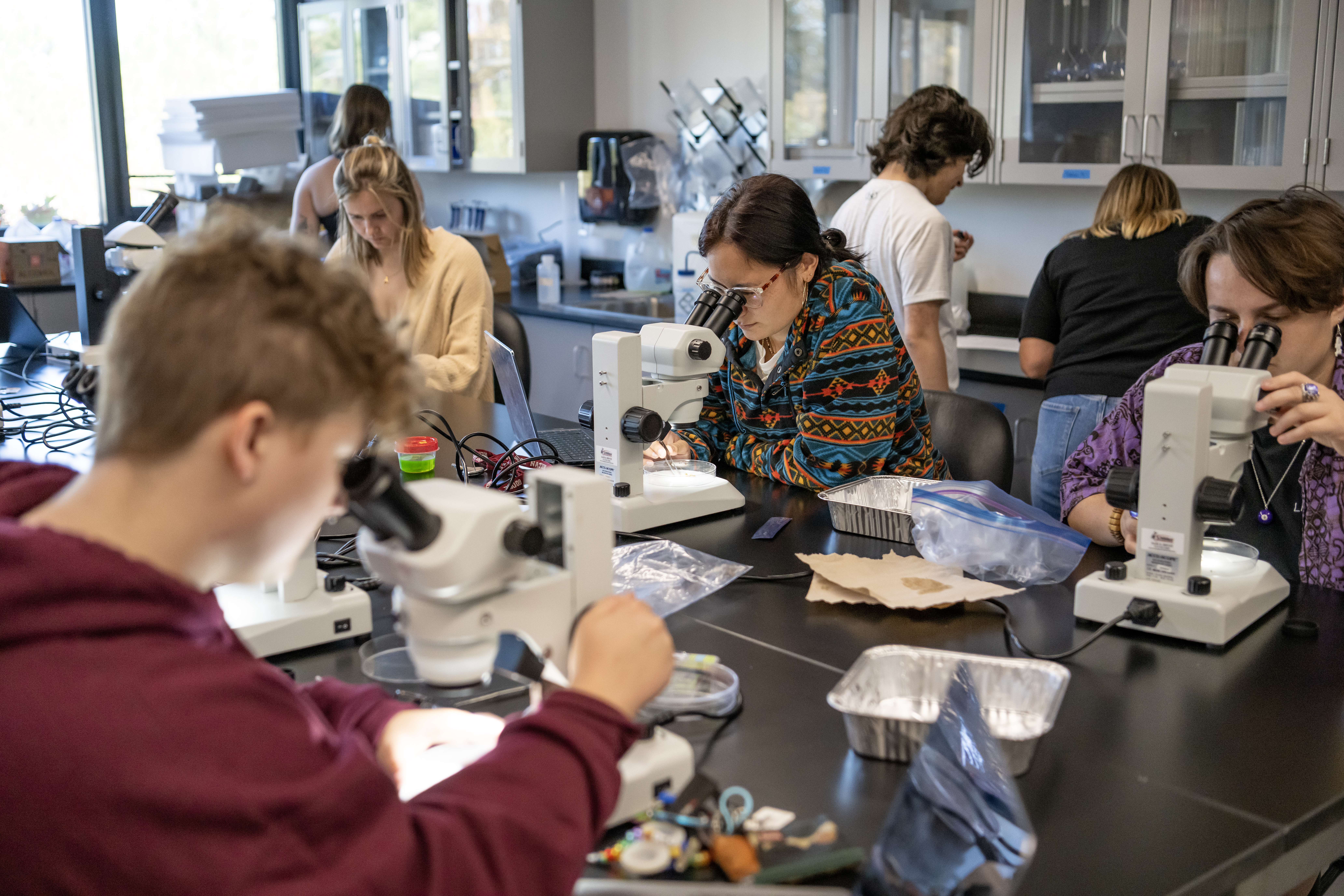Washington College Students in a Field Methods Lab for environmental science