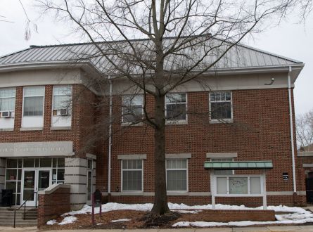 50th tree outisde of gibson hall