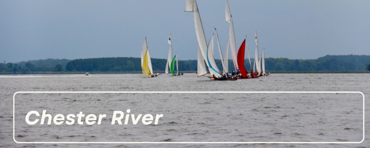Sailboats on river with text Chester River