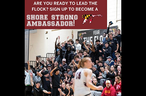 Shore Strong post