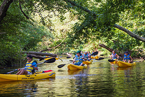 A group of people ayaking down a river