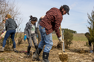 A group of people digging