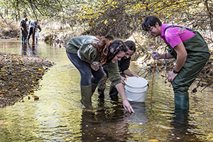 Students standing in a shallow creek