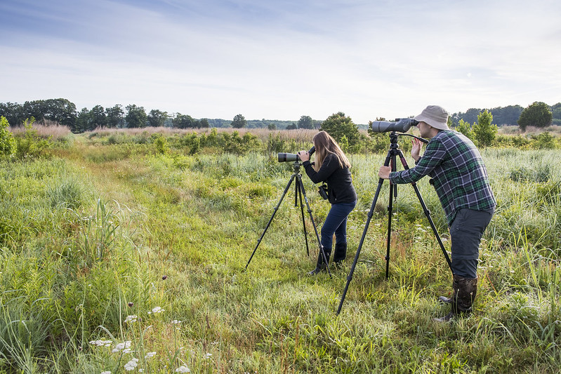 Two people with cameras in a field