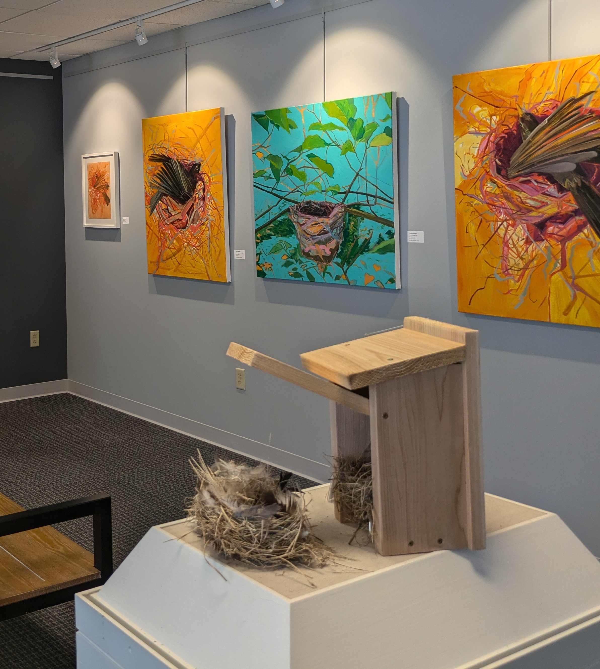 Photo of Nest Alchemy gallery pieces and bird nests.