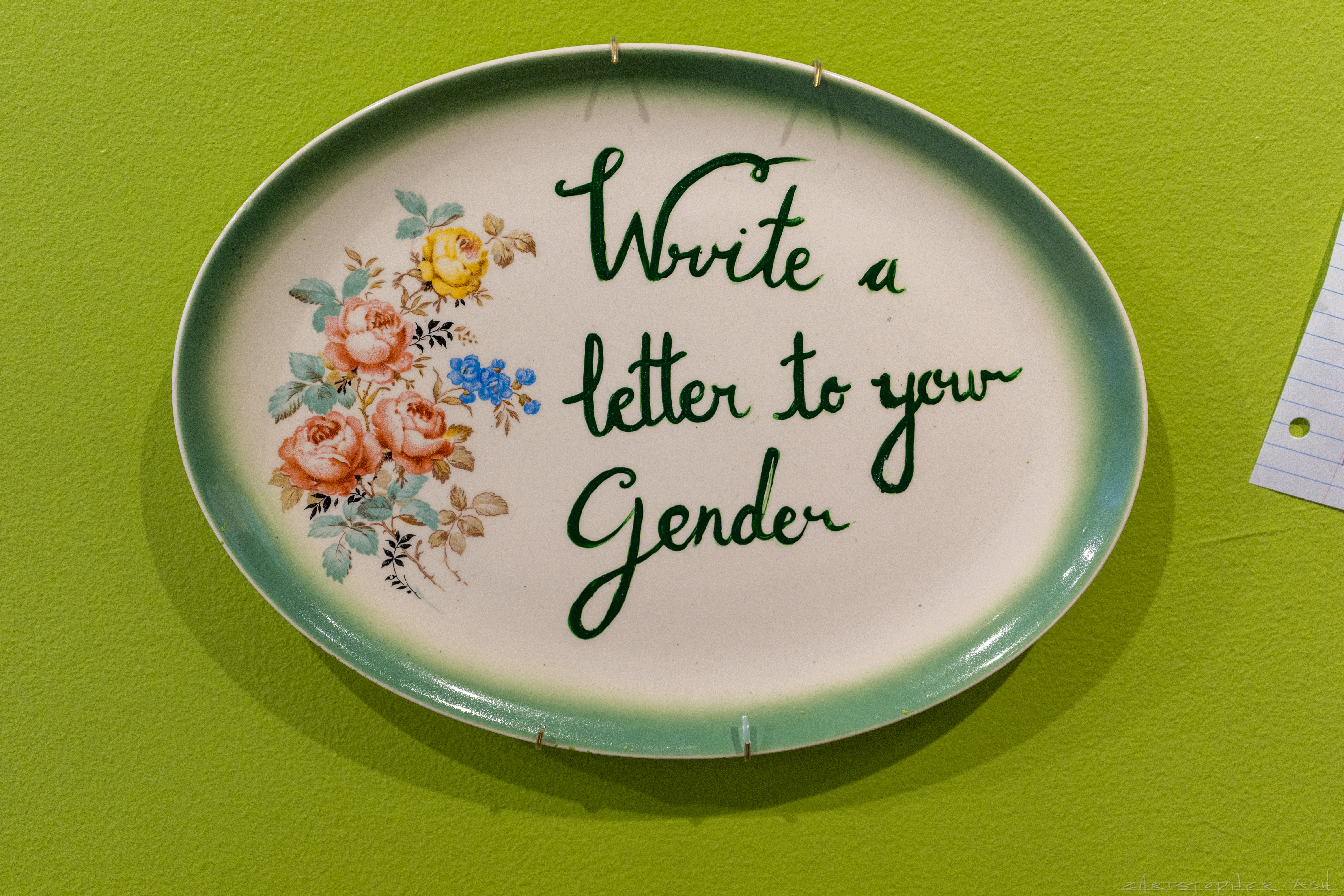 Bearded Ladies letter to my gender