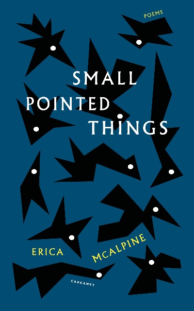 small pointed things poetry book cover