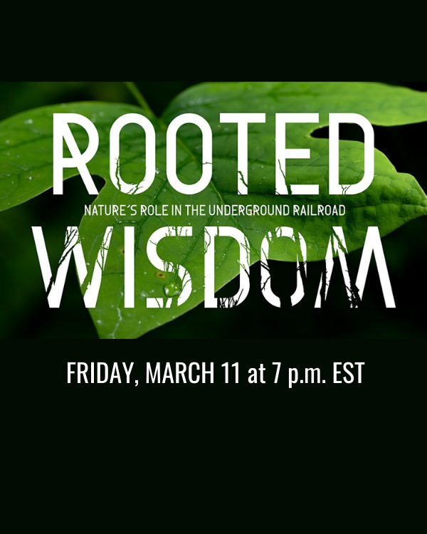 Logo for Rooted Wisdom