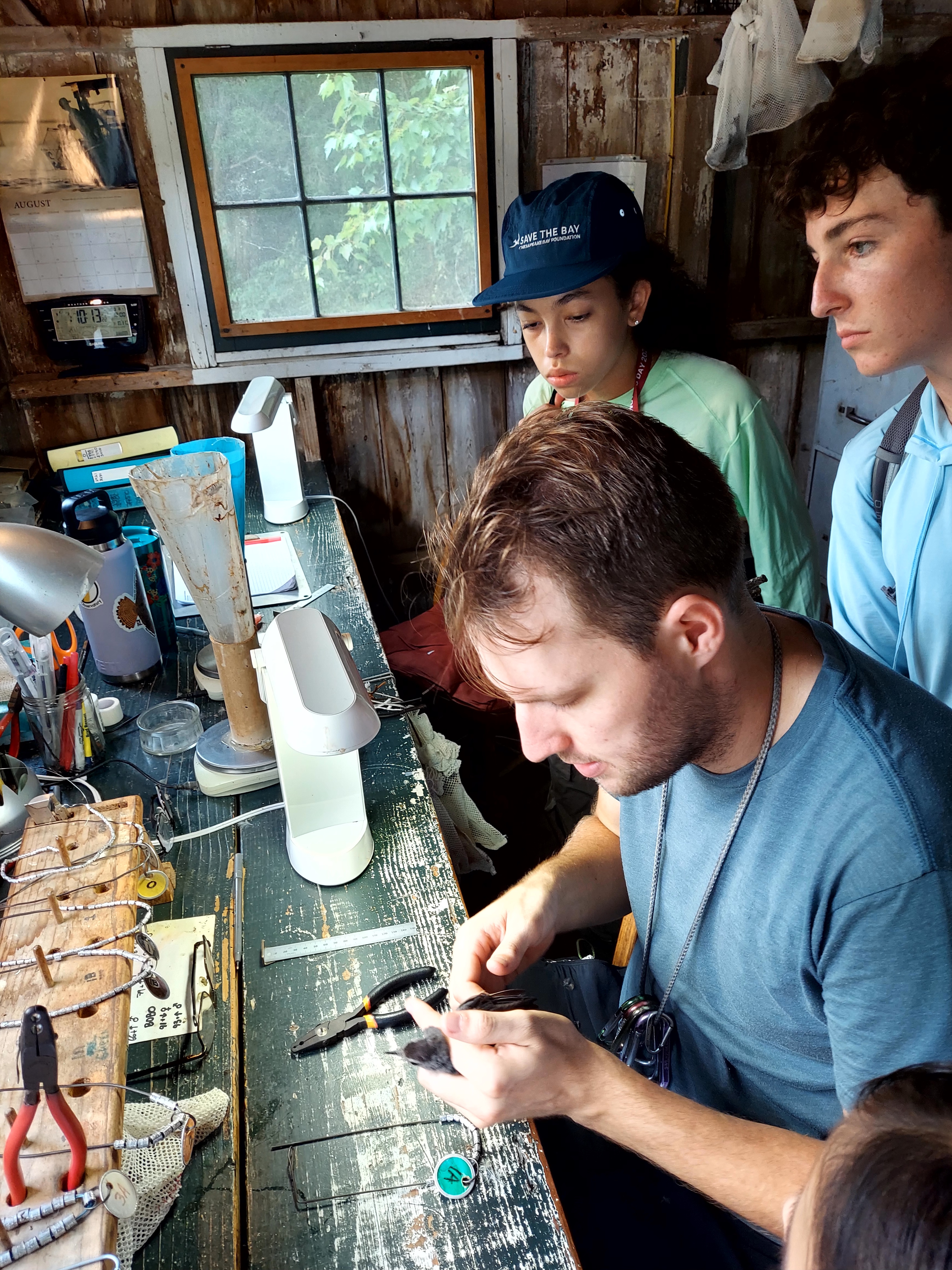 CES CBF summer campers at bird banding station