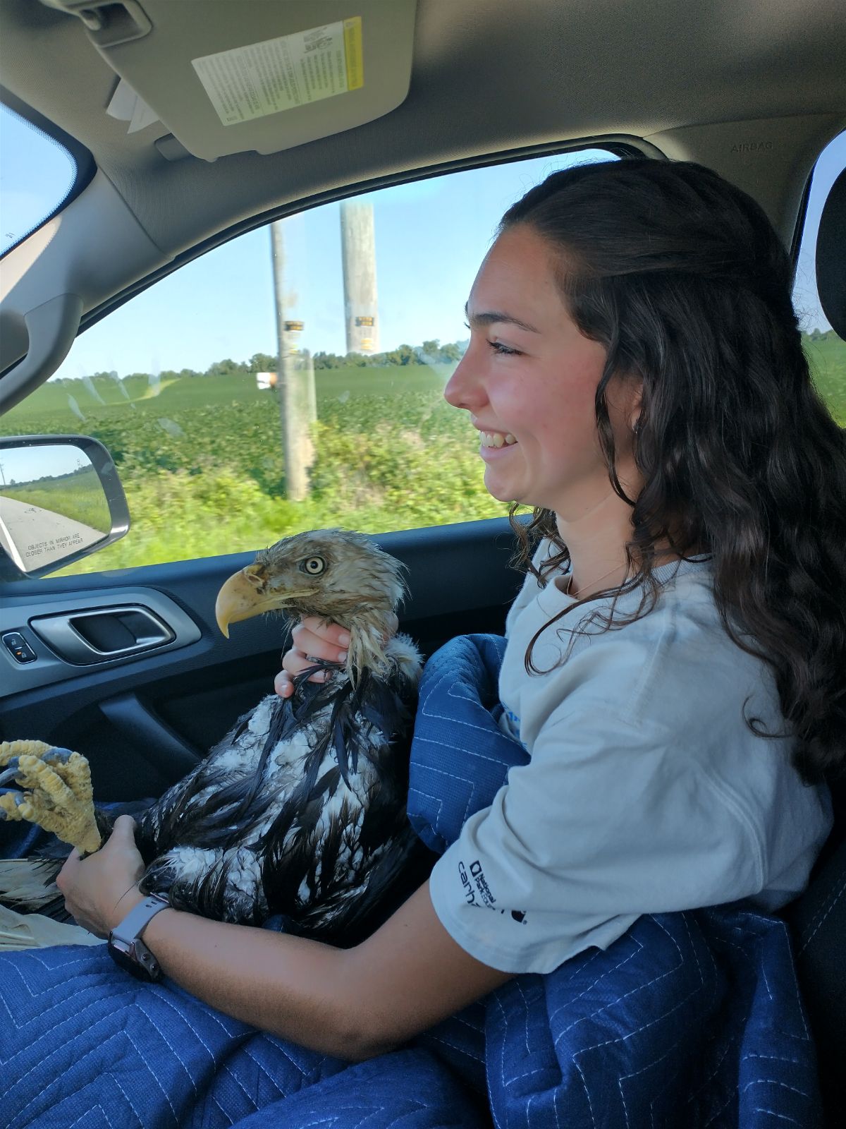 Eagle rescue in car