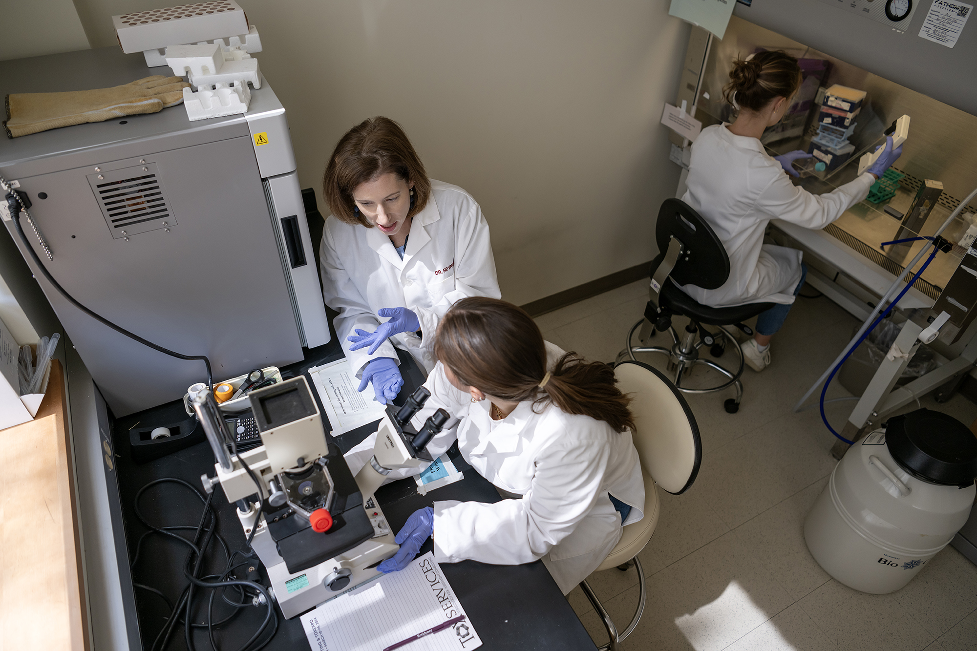 students working in the lab