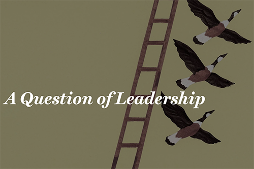 illustration of flying geese and a ladder with the text "A Question of Leadership"