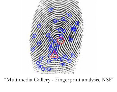 Fingerprint