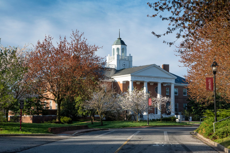 Main Entrance in Spring