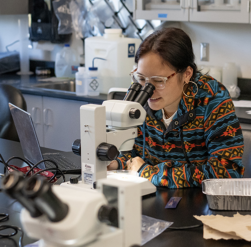 a student looks through a microscope