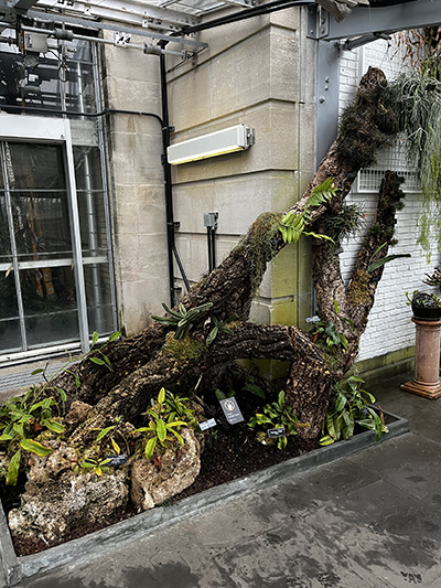 The finished tree, with pool noodles covered by bark