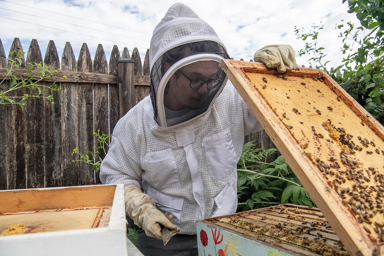 student checking the beehive