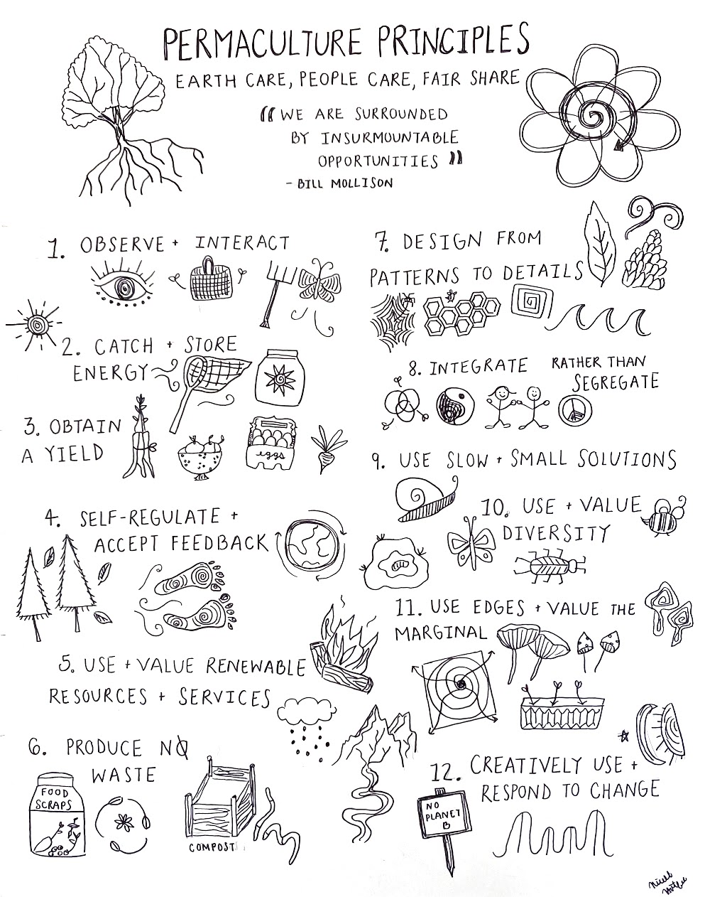 drawing of Permaculture Principles