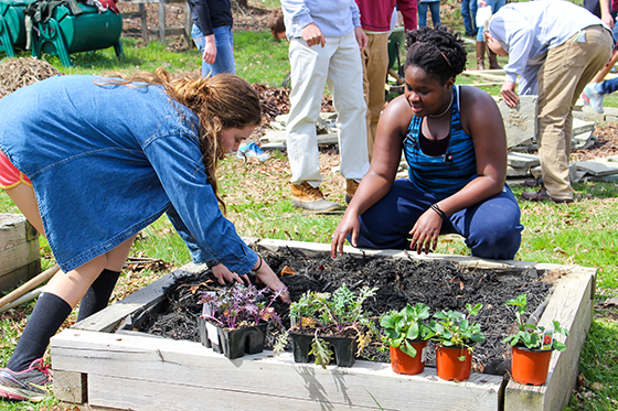 students planting in the campus garden
