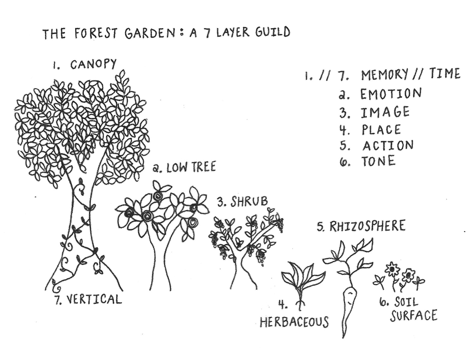Seven Layers of the Forest Garden